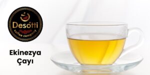 Ekinezya Çayı